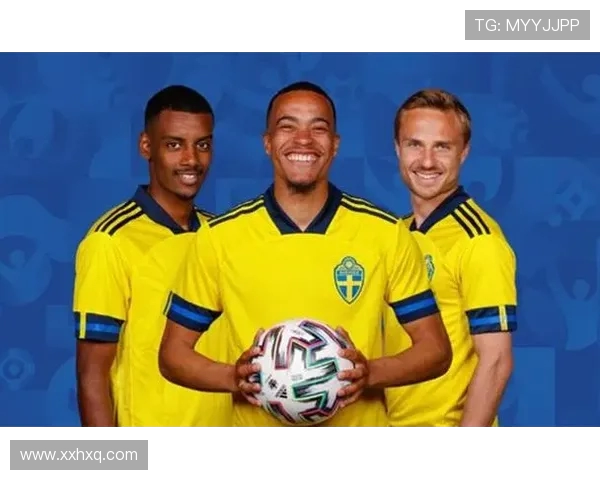 2017年瑞典对阵北爱尔兰精彩回顾与赛后分析