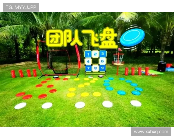 飞盘竞技的魅力：深入了解北京飞盘队的技术与战术解析