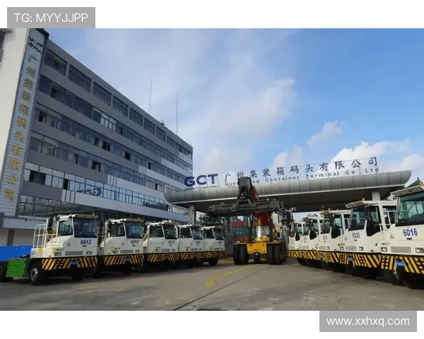 广州乒乓球队转型之路：从传统强队到新兴力量的深度剖析