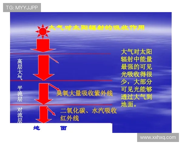 武汉极限运动队状态分析与表现评估探讨